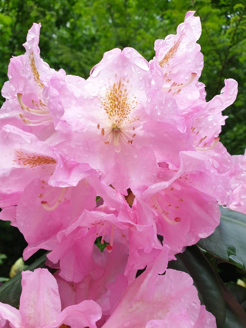 Sample Article Title 11 thumbnail
